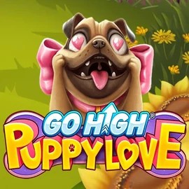 game logo by RubyPlay on wolfcasino.eu.com